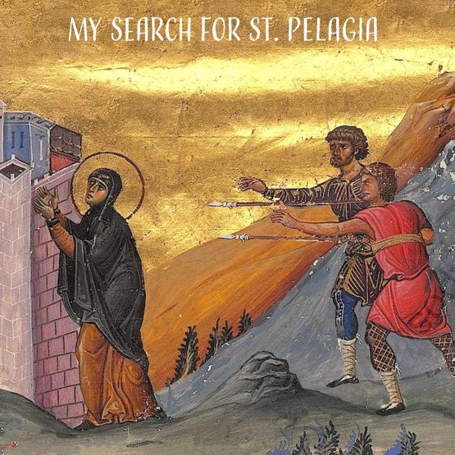My Search for Pelagia graphic My Search for Pelagia graphic