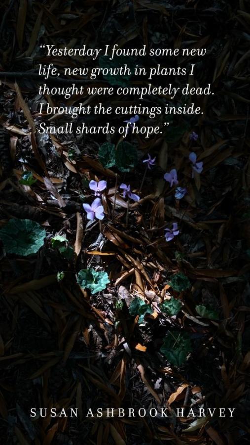 Susan Harvey shards graphic Susan Harvey shards graphic