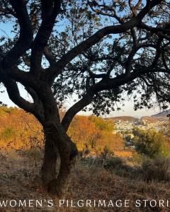 Jennifer Anna Rich pilgrimage 1