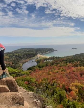 knees and trees blog photo